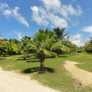 DSC01232