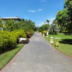 DSC01258