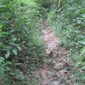 trilho para o view point - Phiphi island vilage