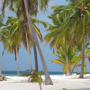 isla saona