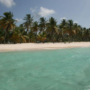 isla saona