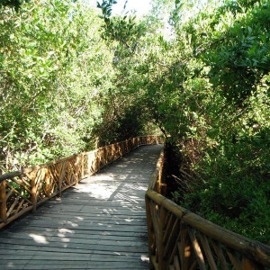 Caminho para a praia