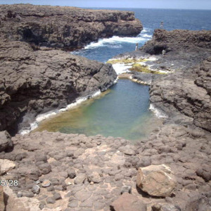 IMG 0348