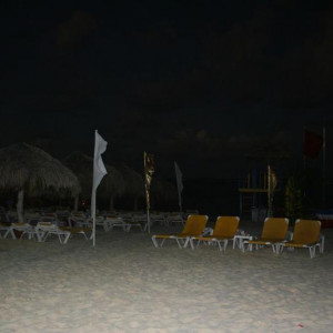 IMG 9739