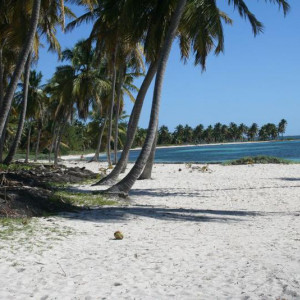 Isla Saona