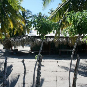 IMG 9823