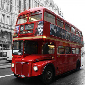 Bus