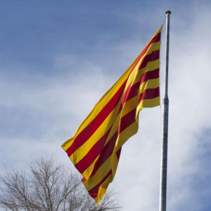 MG 7576