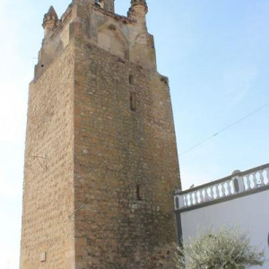 ALQUEVA 1 559