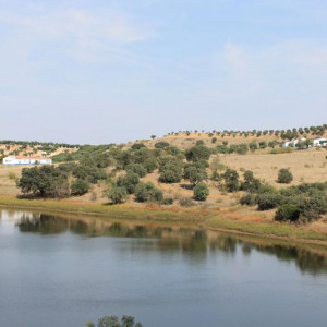ALQUEVA 1 671