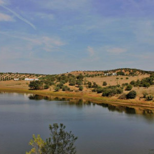 ALQUEVA 1 669