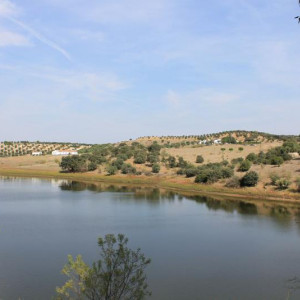 ALQUEVA 1 670