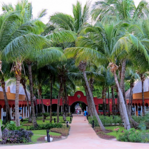 Hotel Catalonia Playa Maroma