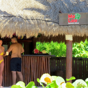 Batidos
