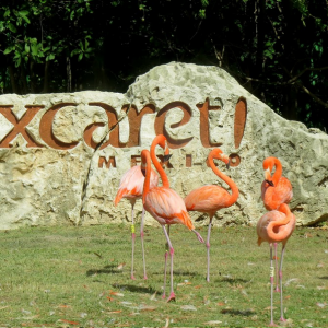 Xcaret2
