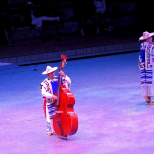 Xcaret17