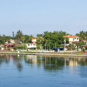 135 (1 De 1)
