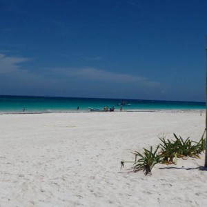 P8080475