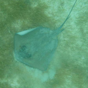 P8080645