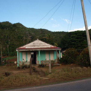 46.JPG