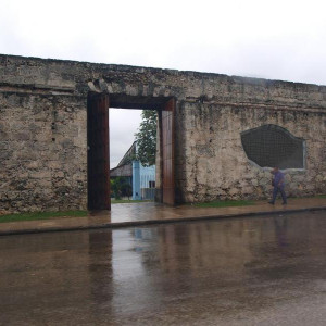 73.JPG