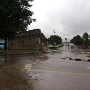 74.JPG