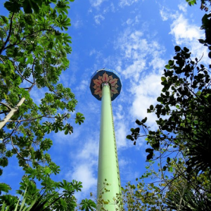 Xcaret6