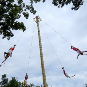 Xcaret9