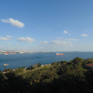 DSC01950