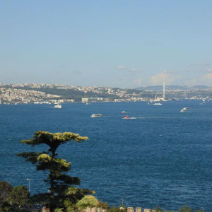 DSC01955