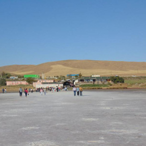 DSC02307