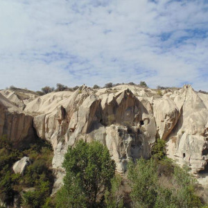 DSC02520