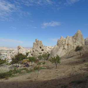 DSC02526