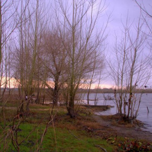 DSC 7168a