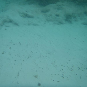 Cala Turqueta