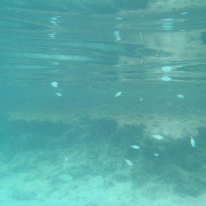 Cala Turqueta