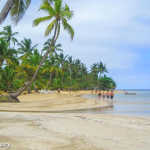 2 (1 De 1)