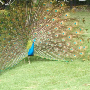 DSC03044