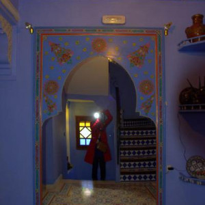 DSC 7869a