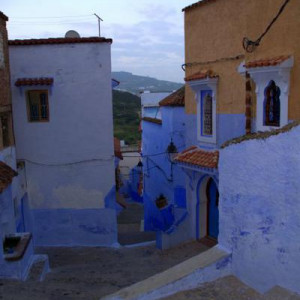 DSC 8537a