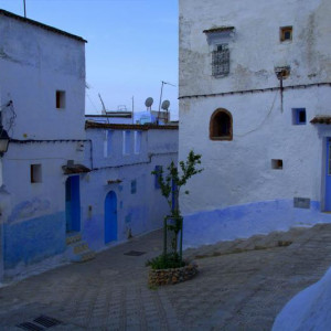 DSC_8606a.jpg