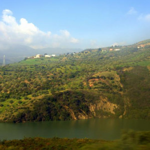 DSC_8640a.jpg