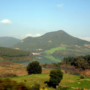 DSC_8654a.jpg