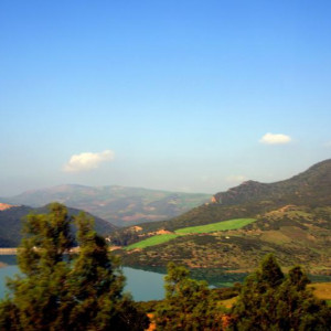 DSC_8667a.jpg