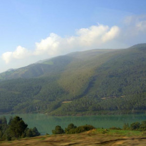 DSC_8670a.jpg