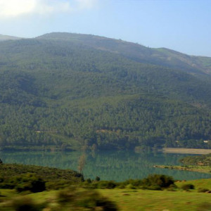 DSC_8678a.jpg