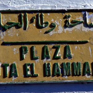 DSC 8371a