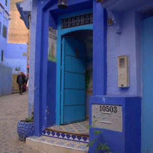 DSC 7888