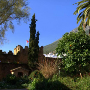 DSC 8410a