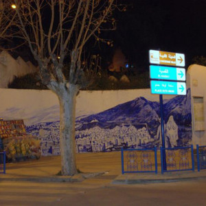 DSC 8515a
